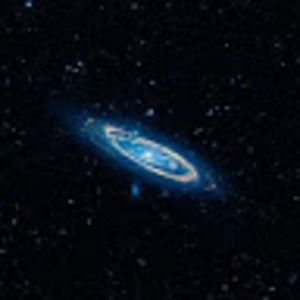 Meet your Posher, Amaya